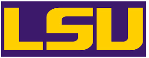 LSU holographic research display